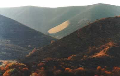 erks7