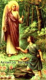 metatron 6