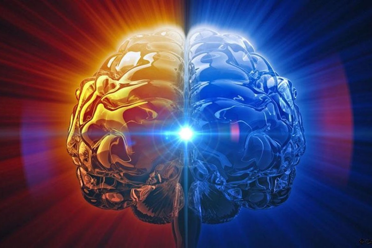 Nutri&ccedil;&atilde;o para o olho da mente: Alimentos para reativar sua gl&acirc;ndula pineal