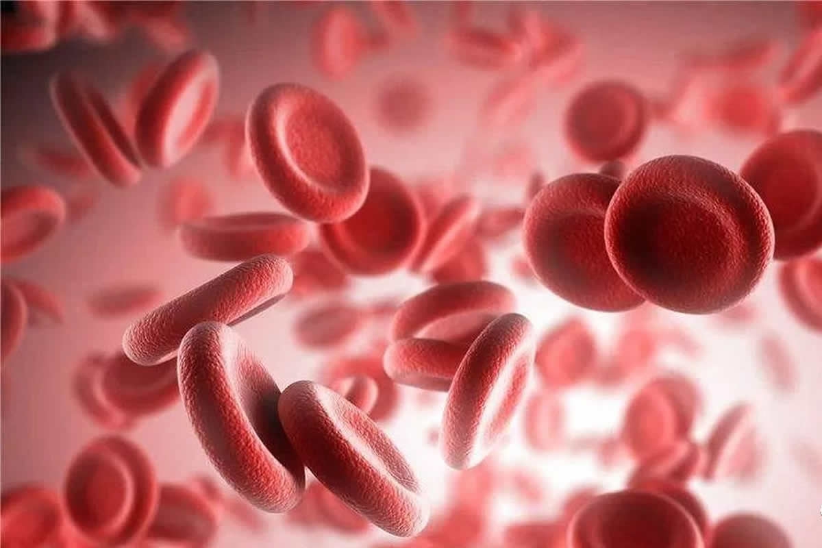 Nosso sangue n&atilde;o pode ser &aacute;cido
