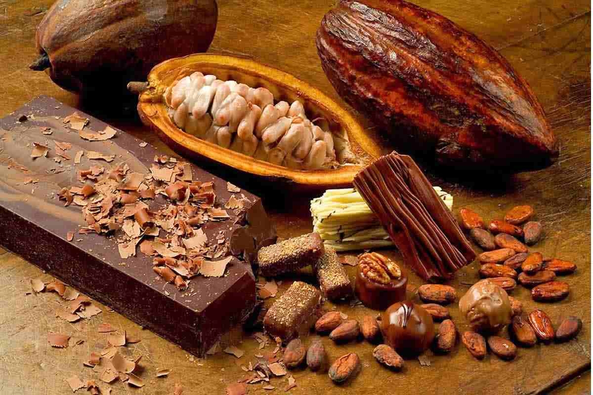 Como chocolate nutre intestino e mente!