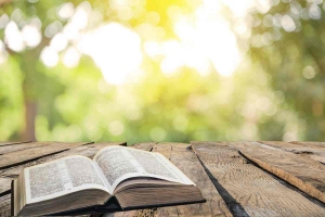 Prov&eacute;rbios Deus disse!