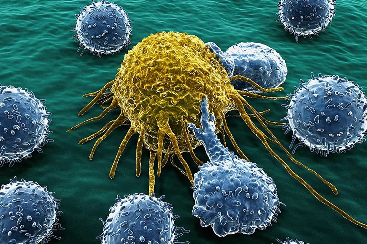 Como Evitar a Forma&ccedil;&atilde;o De C&eacute;lulas Cancerosas