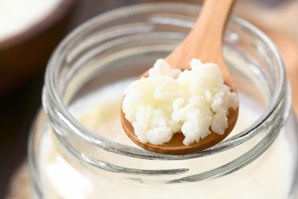 KEFIR - o cogumelo da sa&uacute;de