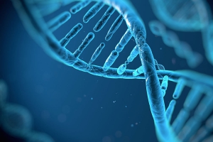 12 Fitas do DNA: Nossa Heran&ccedil;a Espiritual