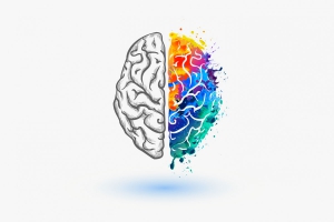 Medita&ccedil;&atilde;o versus C&eacute;rebro
