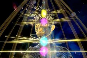 EMF - Malha e Profissionais