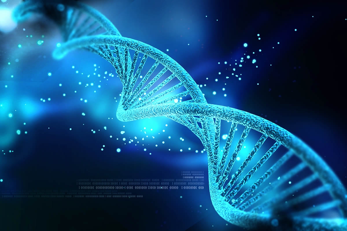 DNA