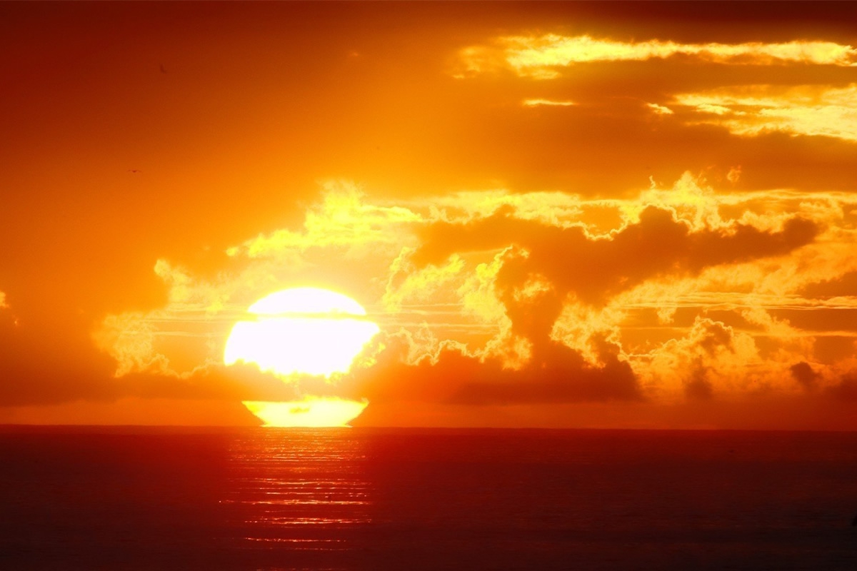 A Vitamina D