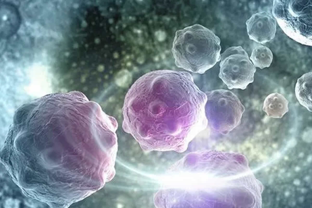 Tumor entenda a nova medicina
