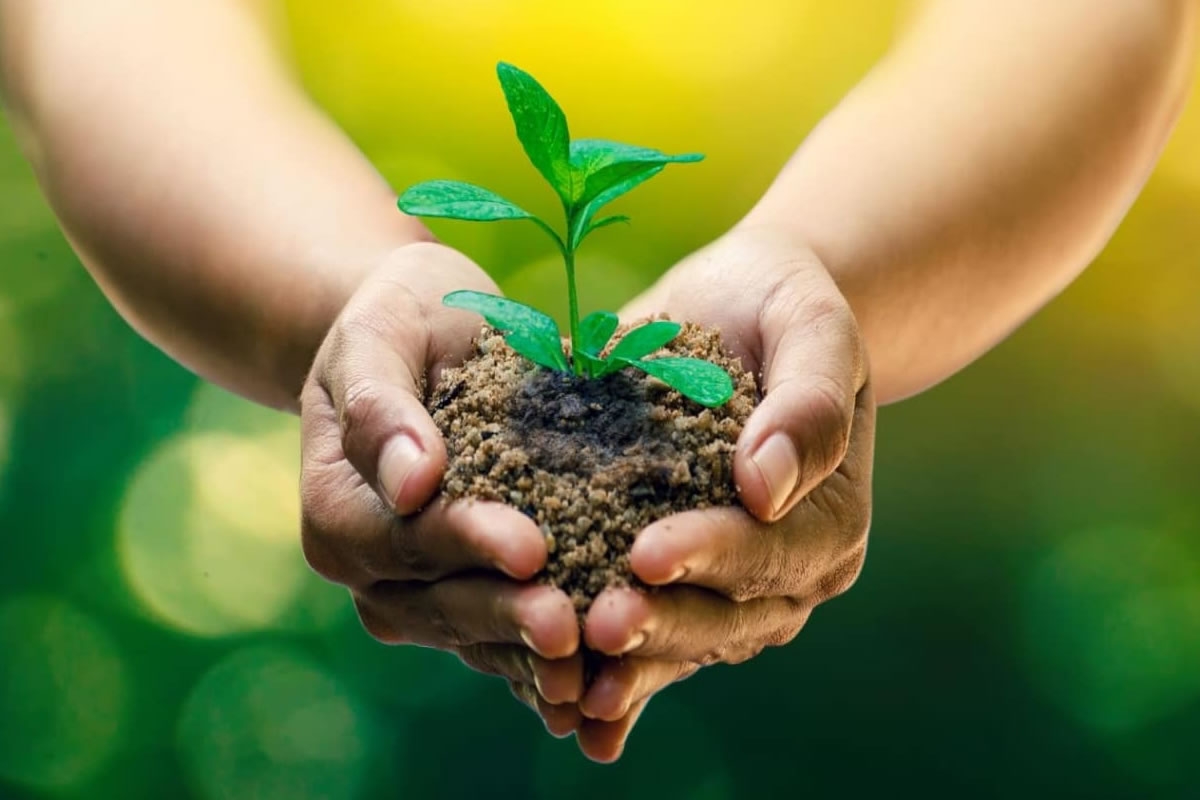 A Terra est&aacute; ficando mais verde!