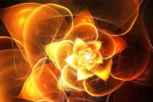 A Rosa Sagrada II