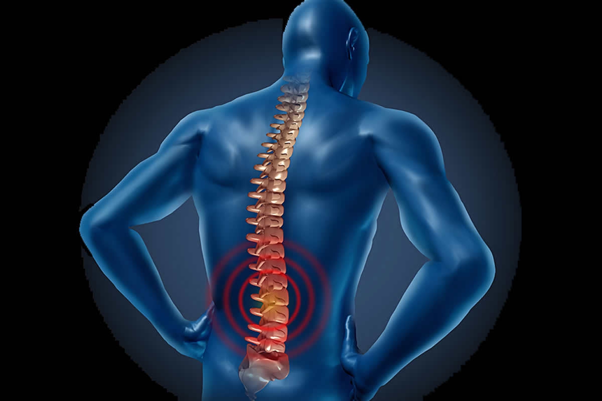 Coluna Vertebral e sua influ&ecirc;ncia - lindo